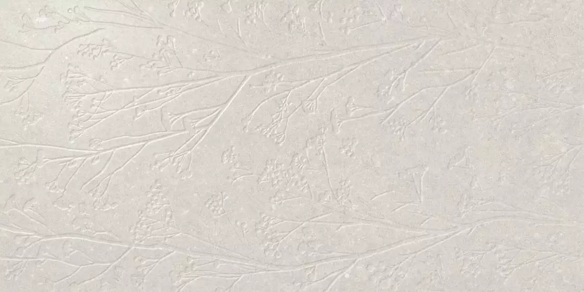 A042750 Плитка Divine White Rect 60x120