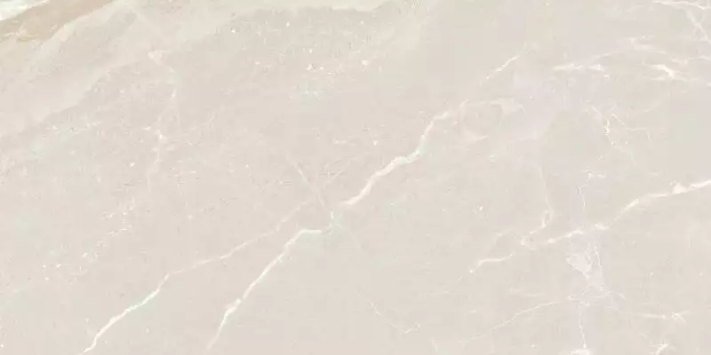 A044787 Керамогранит Colemanite Stone Light Rect 60x120
