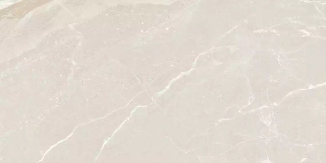A044787 Керамогранит Colemanite Stone Light Rect 60x120