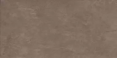 A0JR Raw Mud 20mm 60x120