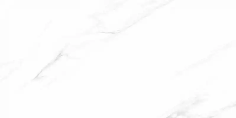 A0KB AA0A Calacatta white polished 59.7x119.8