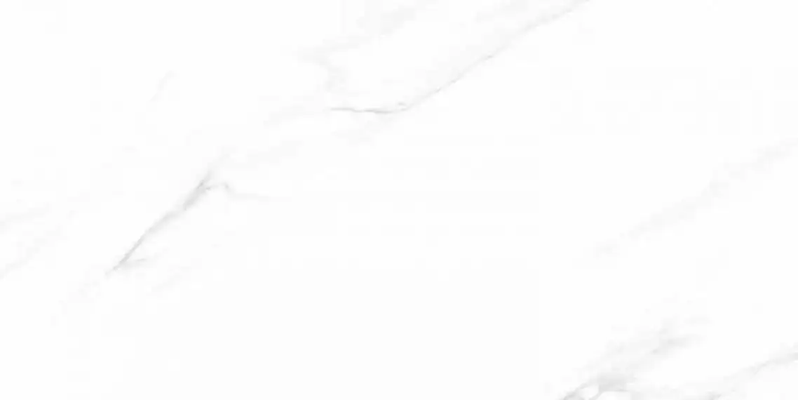 A0KB AA0A Calacatta white polished 59.7x119.8
