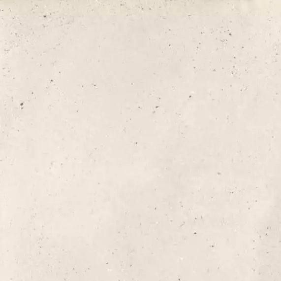 A0MO 000G Mosaic Rectified 59.4x59.4