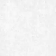 A0YB AA0C Rio White Rectified 59.4x59.4