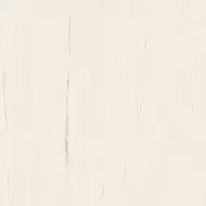 A204 Marvel Bianco Dolomite 120x120