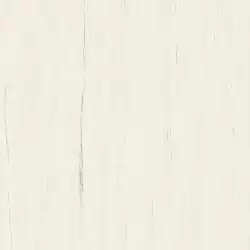 A204 Marvel Bianco Dolomite 120x120