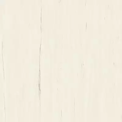 A204 Marvel Bianco Dolomite 120x120