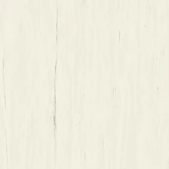 A204 Marvel Bianco Dolomite 120x120