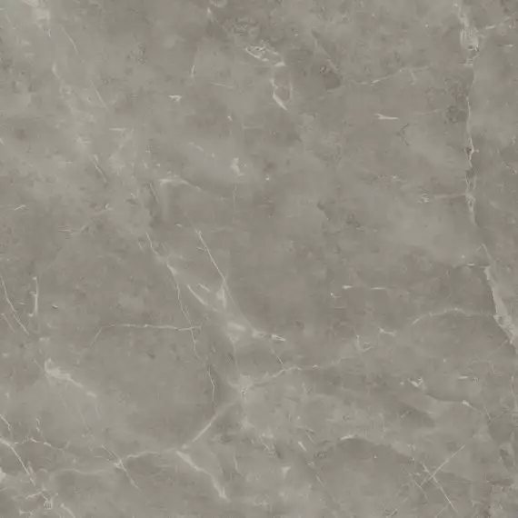 A205 Marvel Grey Fleury 120x120