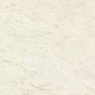 A206 Marvel Cremo Delicato 120x120