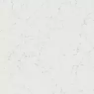 A207 Marvel Carrara Pure 120x120