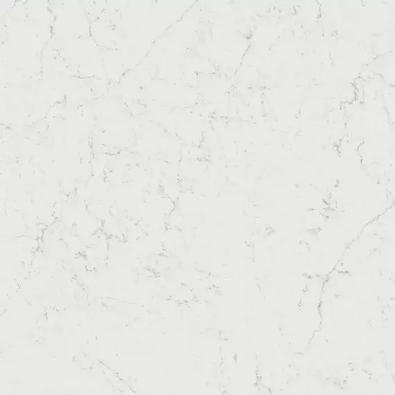 A207 Marvel Carrara Pure 120x120