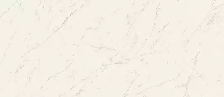 A2RV Marvel Carrara Pure Matt 120x278