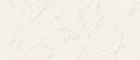 A2RV Marvel Carrara Pure Matt 120x278