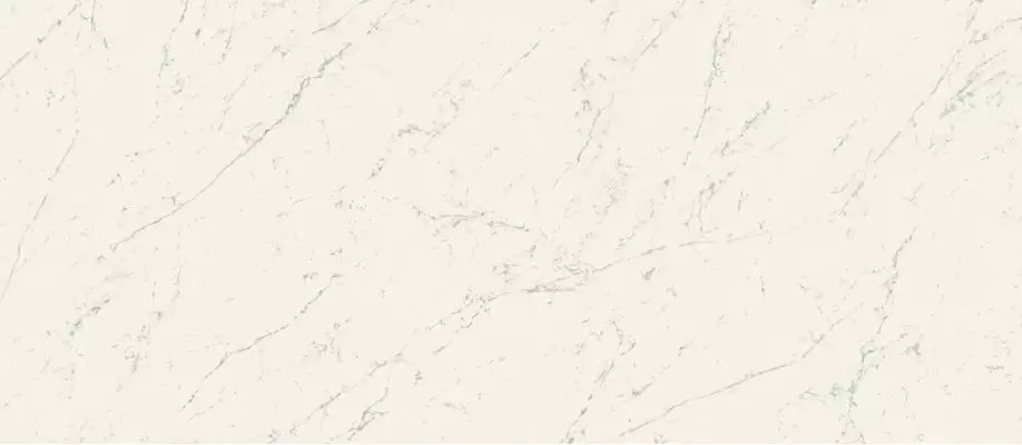 A2RV Marvel Carrara Pure Matt 120x278
