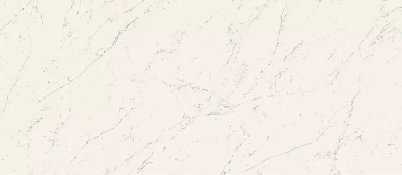 A2RV Marvel Carrara Pure Matt 120x278