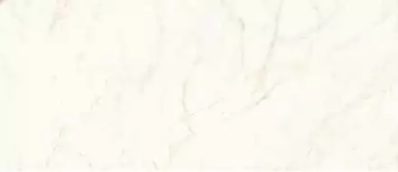 A4OY Marvel Calacatta Delicato Lappato 120x278