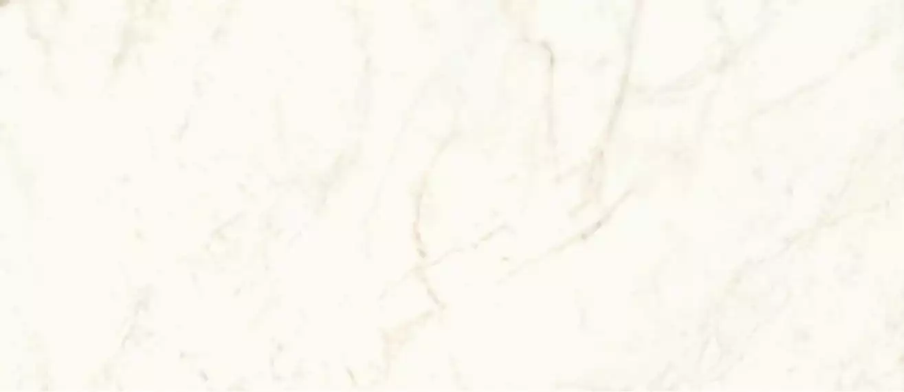 A4OY Marvel Calacatta Delicato Lappato 120x278