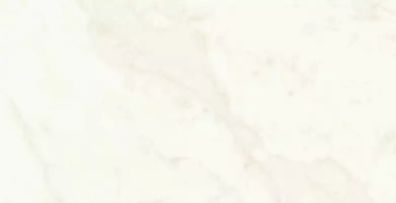 A4Q0 Marvel Calacatta Delicato Lappato 60x120