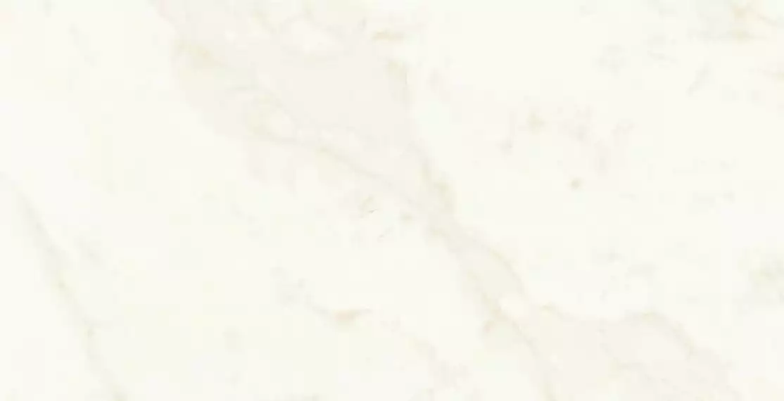 A4Q0 Marvel Calacatta Delicato Lappato 60x120