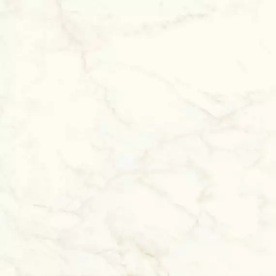 A4Q4 Marvel Calacatta Delicato Matt 120x120
