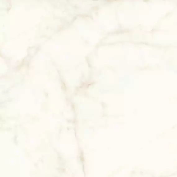 A4Q8 Marvel Calacatta Delicato Lappato 120x120