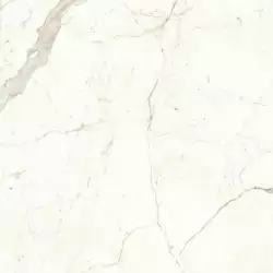 A4Q9 Marvel Calacatta Prestigio Lappato 120x120