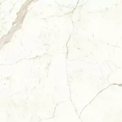 A4Q9 Marvel Calacatta Prestigio Lappato 120x120