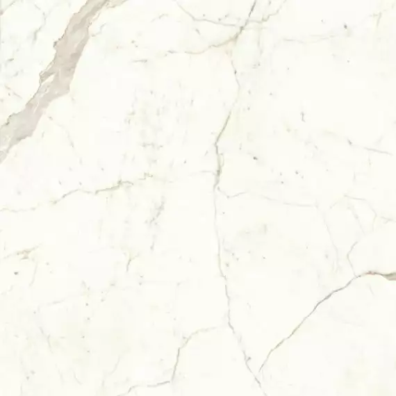 A4Q9 Marvel Calacatta Prestigio Lappato 120x120