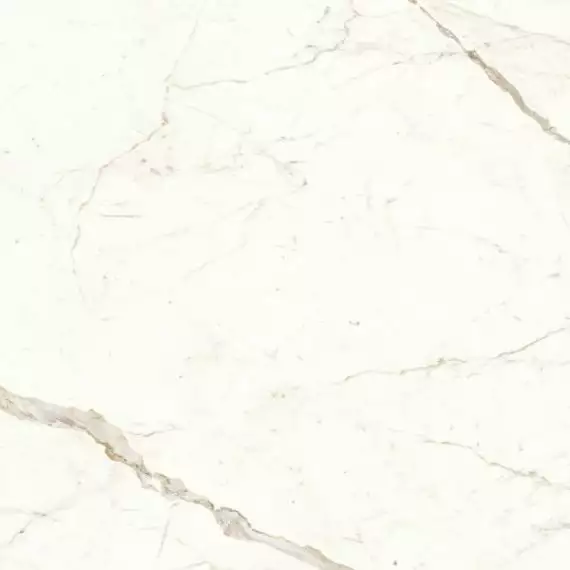 A4QT Marvel Calacatta Prestigio Lappato 60x60