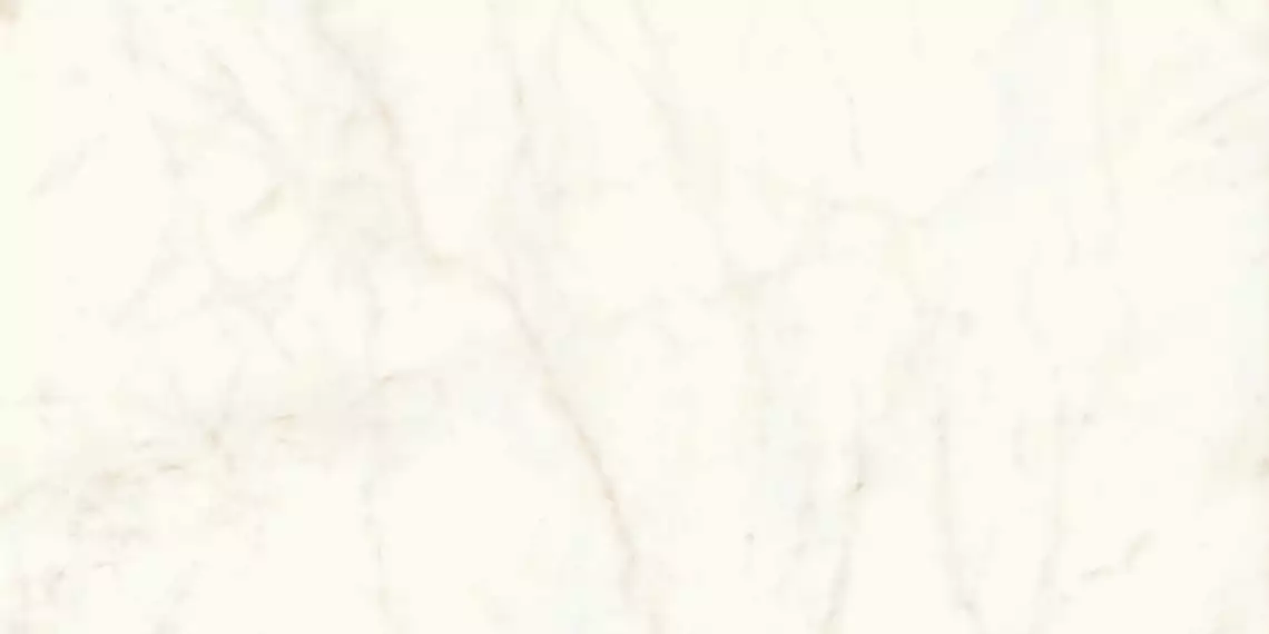 A4RH Marvel Calacatta Delicato Lappato 120x240