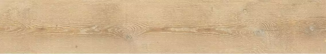 A94009 CA FOSCARI AVANA RETT. 20X120