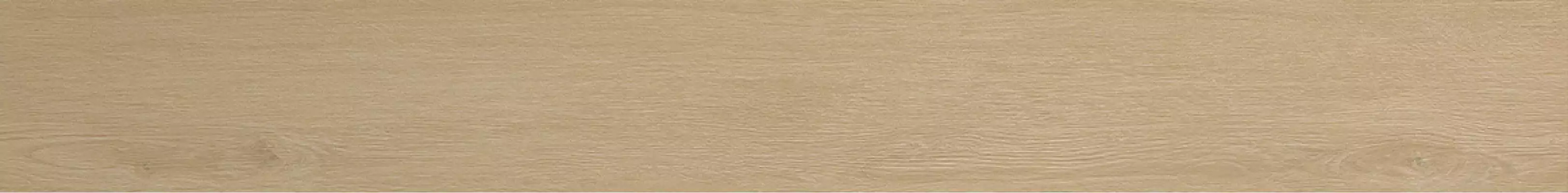 AANI Nid Cashmere 18,5x150