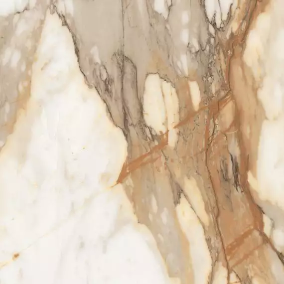 AB1059G Borgini Gold gloss 600x600