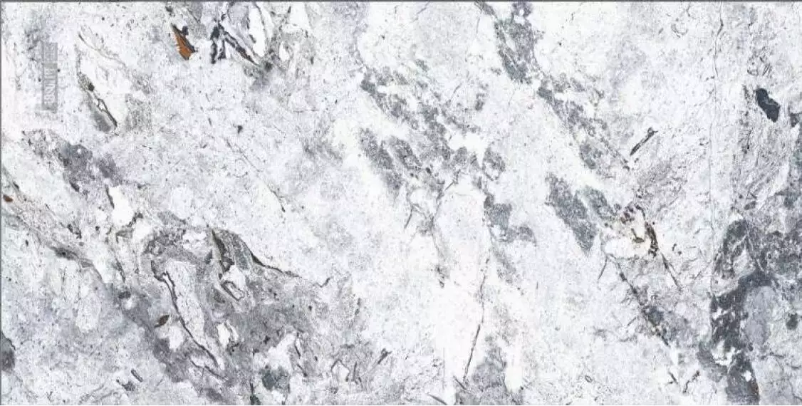 AB 1110G Ordito Grey gloss 1200x600