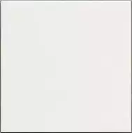 ADMO1015 Liso PB C/C Blanco 15х15