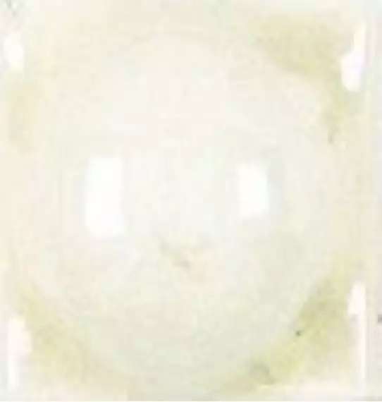 ADNE8017 Taco Esfera Biscuit 2х2