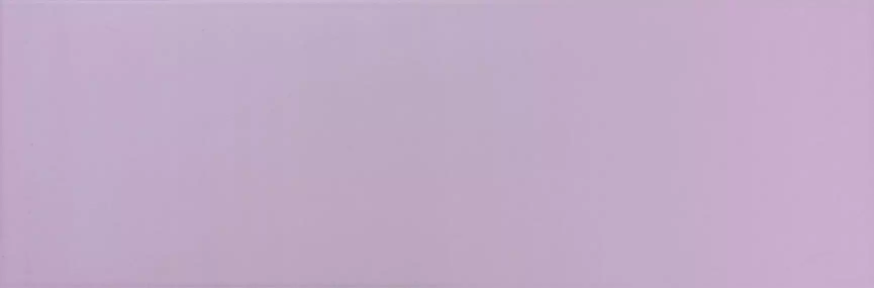 ADORABLE LILAC 20*60