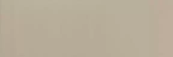 ADORABLE SAND 20*60
