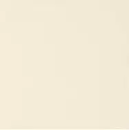 ADST1002 LISO BAMBOO 14.8X14.8