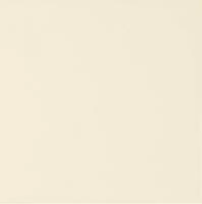 ADST1002 LISO BAMBOO 14.8X14.8