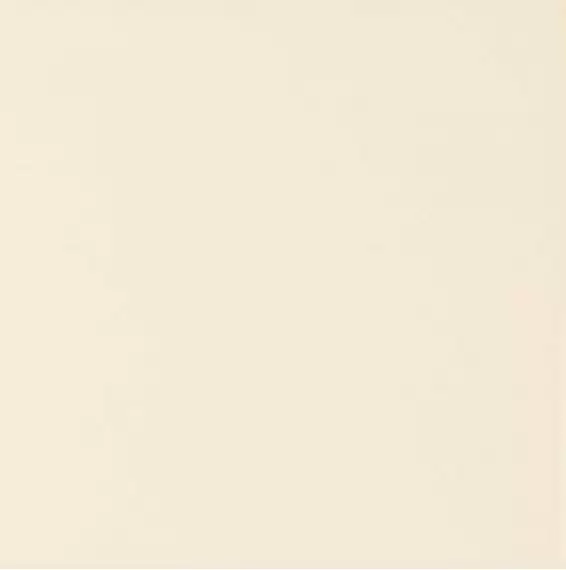 ADST1002 LISO BAMBOO 14.8X14.8