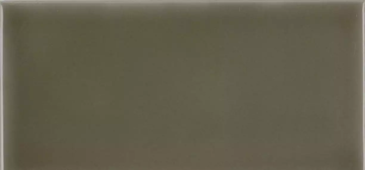 ADST1013 Liso Eucalyptus 7,3х14,8
