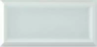 ADST1068 LISO FRAMED FERN 7.3x14.8