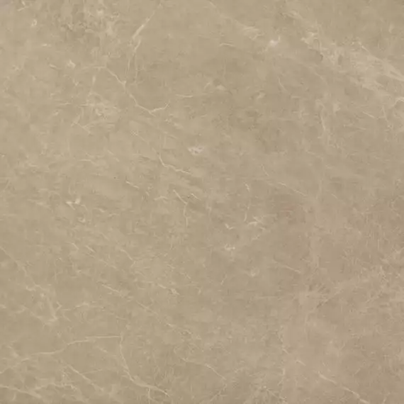 AEN1 Marvel Elegant Sable Lap. 60x60