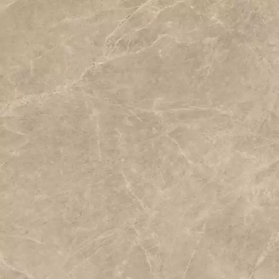 AENK Marvel Elegant Sable Lappato 120x120