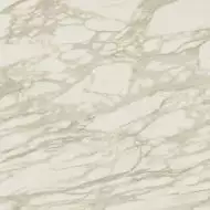 AENP Marvel Royal Calacatta Lappato 120x120