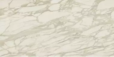 AENU Marvel Royal Calacatta Lappato 120x240