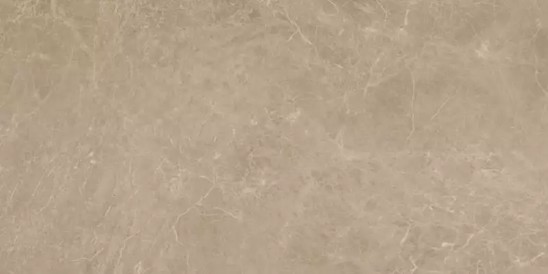 AENW Marvel Elegant Sable Lappato 45x90