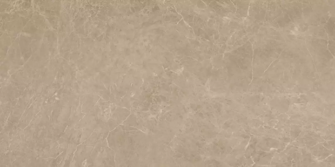 AENW Marvel Elegant Sable Lappato 45x90